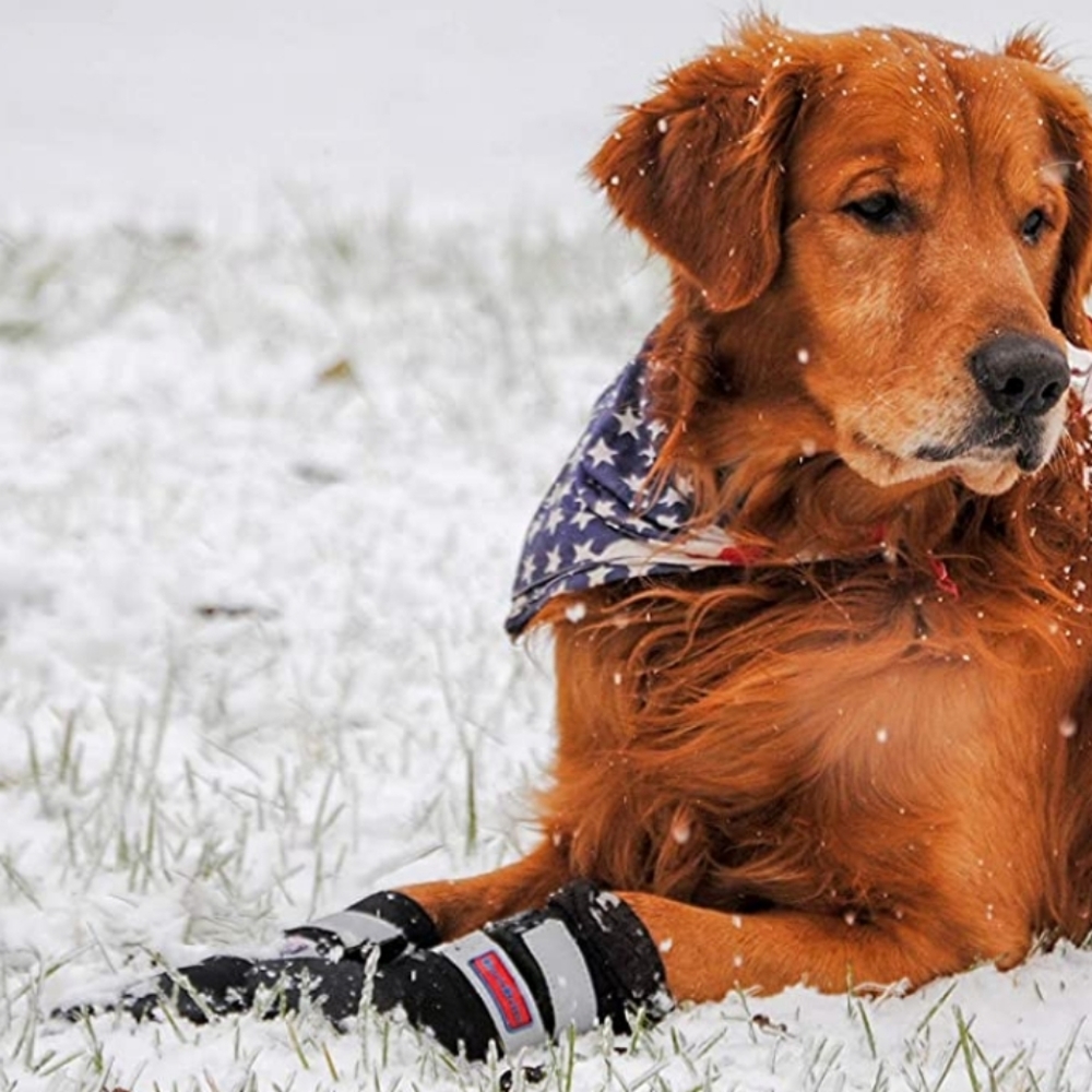 Bark Brite large lightweight neoprene dog boots